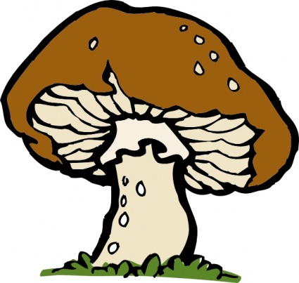 Pilz
